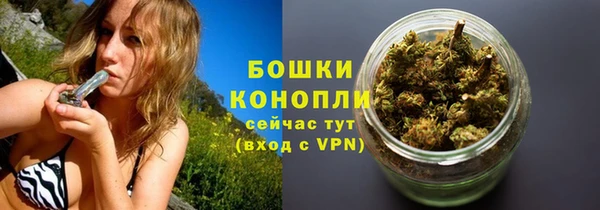 гашик Гусев