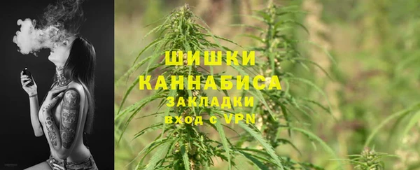 гашик Гусев
