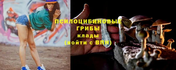 гашик Гусев