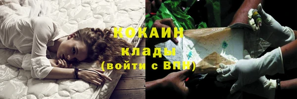 крисы Гусь-Хрустальный