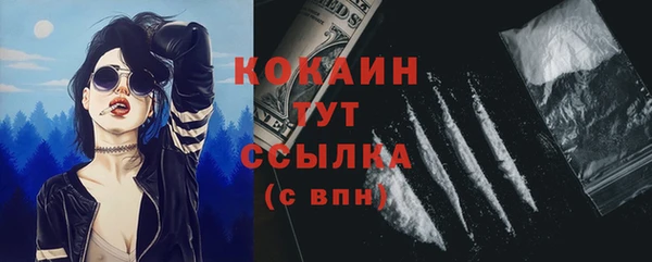 гашик Гусев