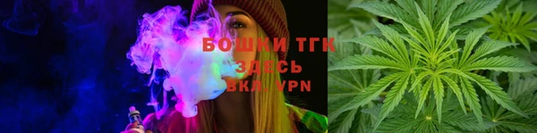 гашик Гусев