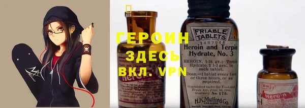 гашик Гусев