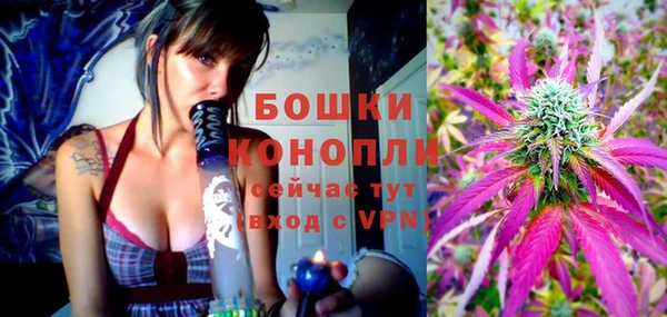 крисы Гусь-Хрустальный